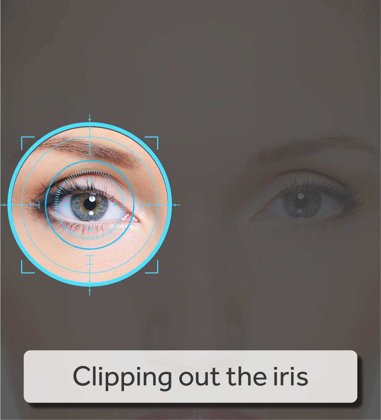 how irii recognition work