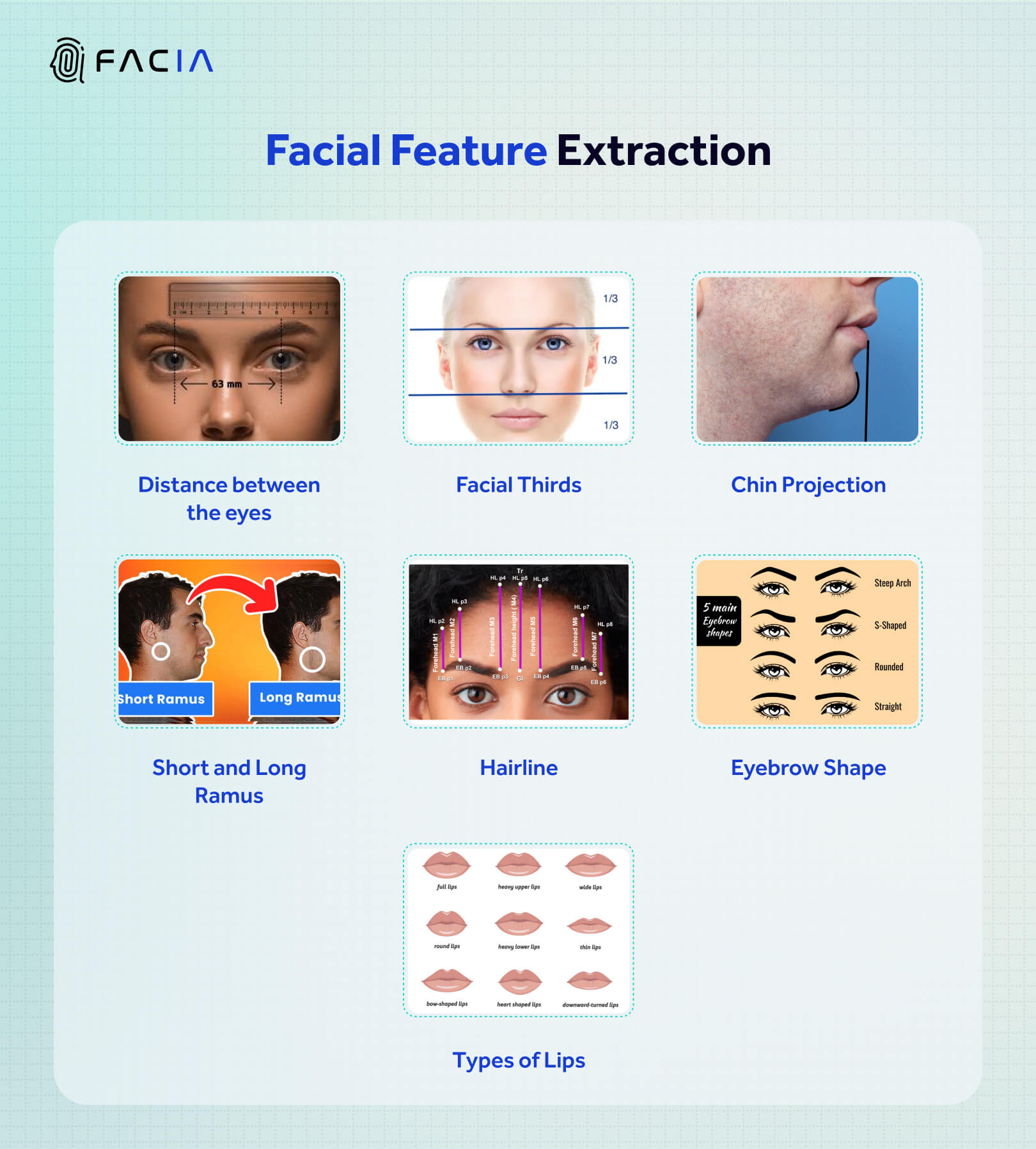 The image shows a visual illustration of the facial features that are extracted during the face comparison process. It includes: 1) Distance Between Eyes 2) Facial thirds 3) Chin Projection 4) Short or Long Ramus 5) Hairline 6) Eyebrow Shape 7) Types of Lips