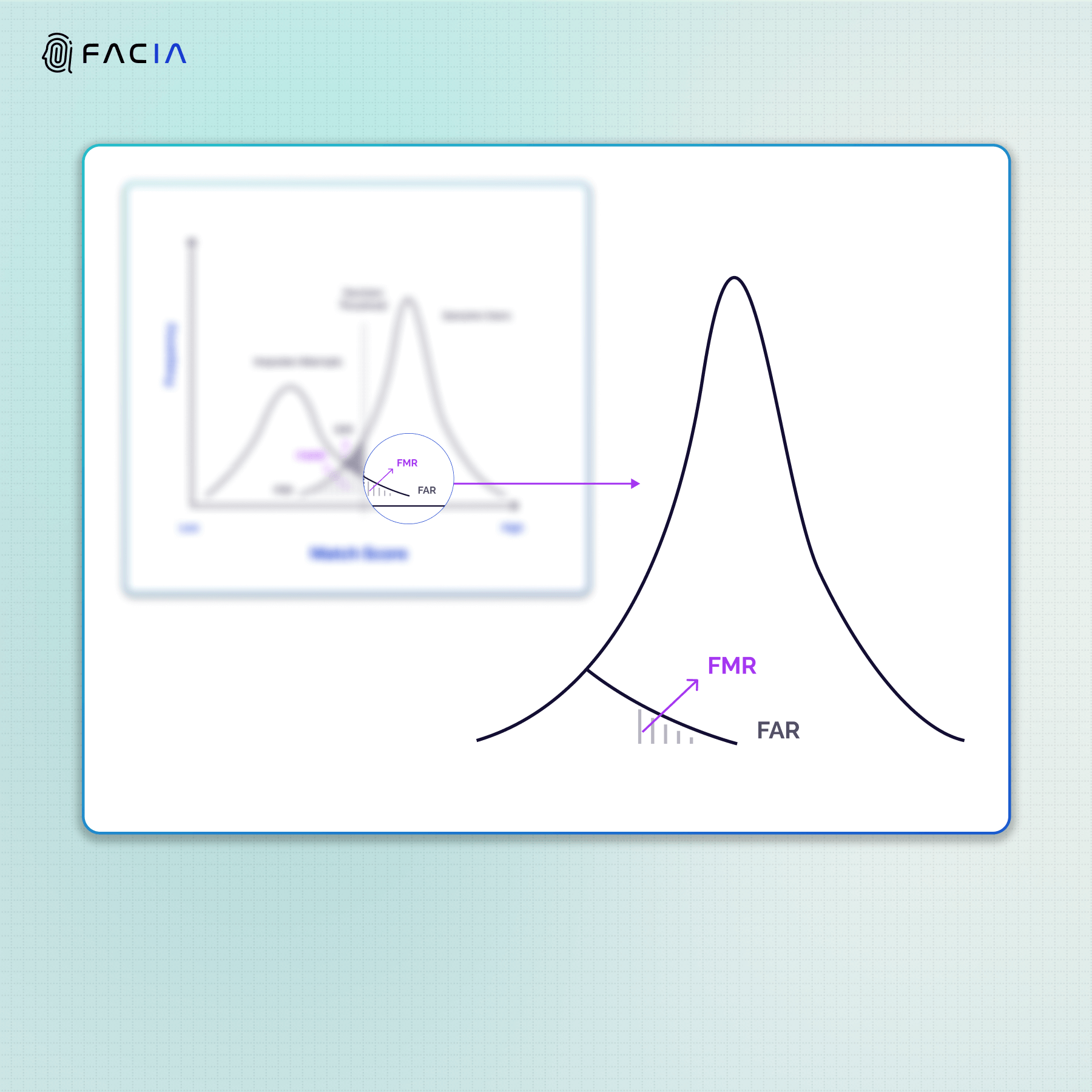 The zoom-in illustration of False Match Rate (FMR) and False Acceptance Rate (FAR) that are used interchangeably to indicate the same factor of wrongly accepting an imposter identity as a legitimate one.