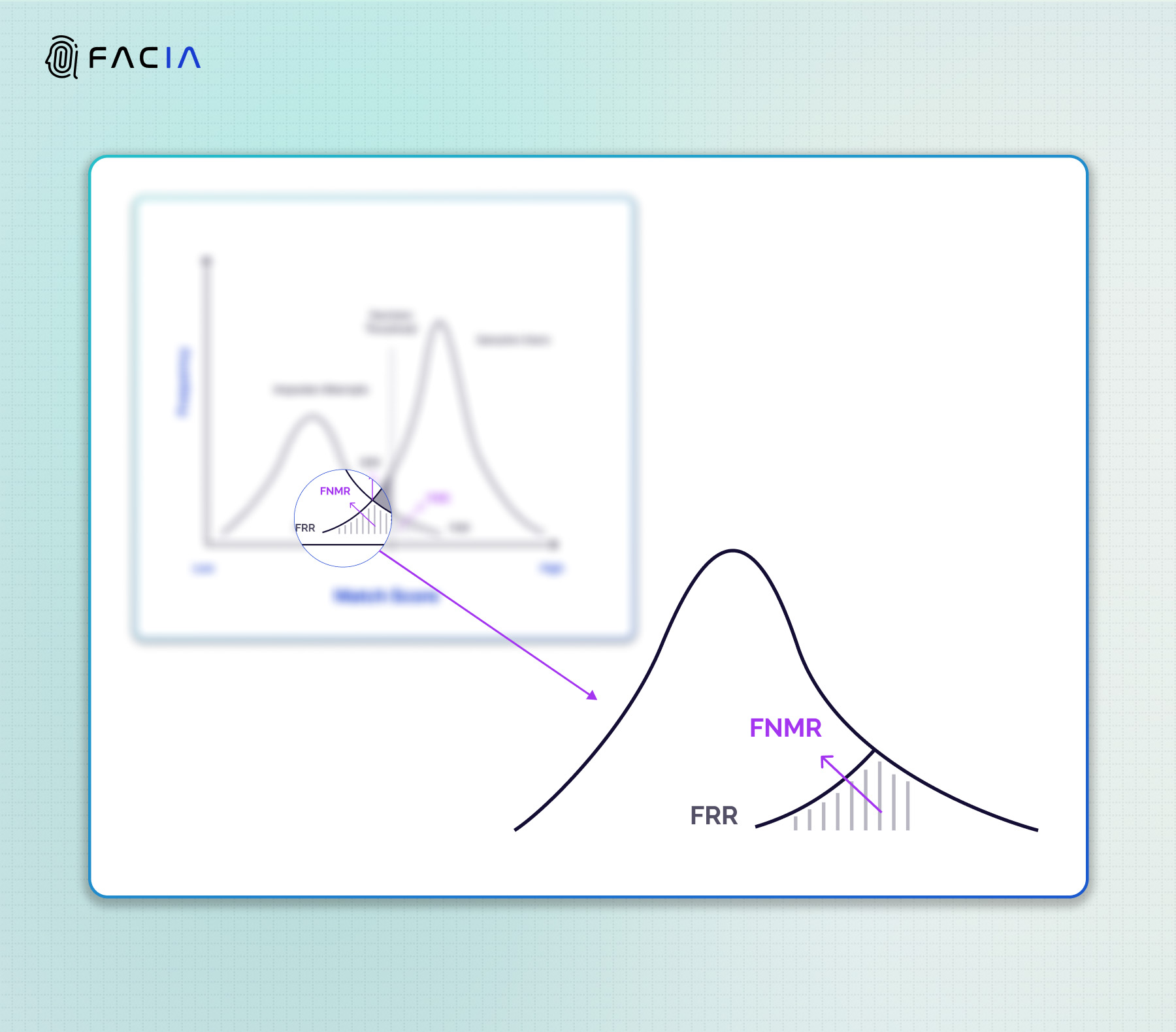 The zoom-in illustration of False Non-Match Rate (FMR) and False Rejection Rate (FAR) that are used interchangeably to indicate the same factor of wrongly rejecting a genuine identity as an imposter.