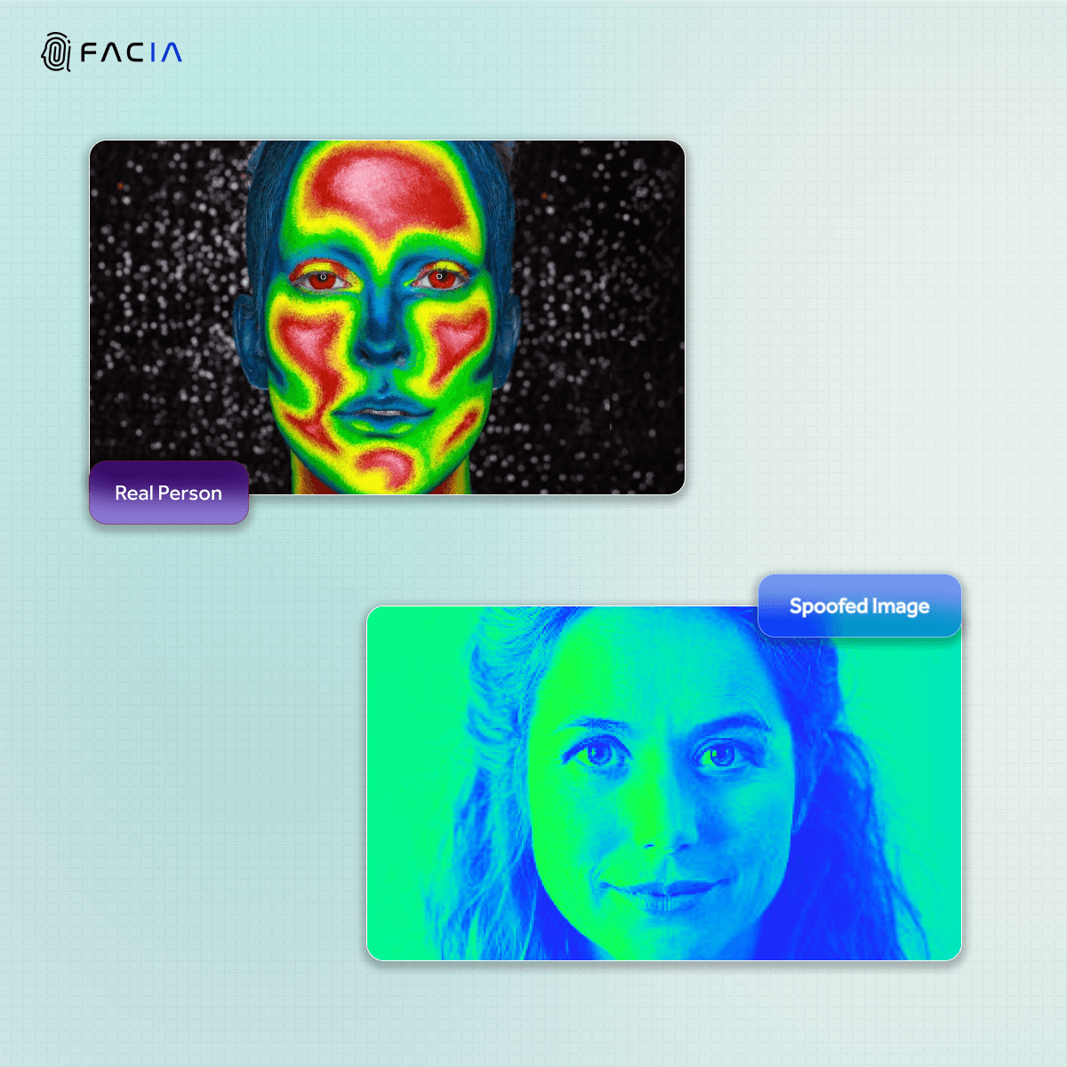 When checking liveness through a thermal image, a real face will clearly have red or orange around it, while a spoof face will be cool color shades only.