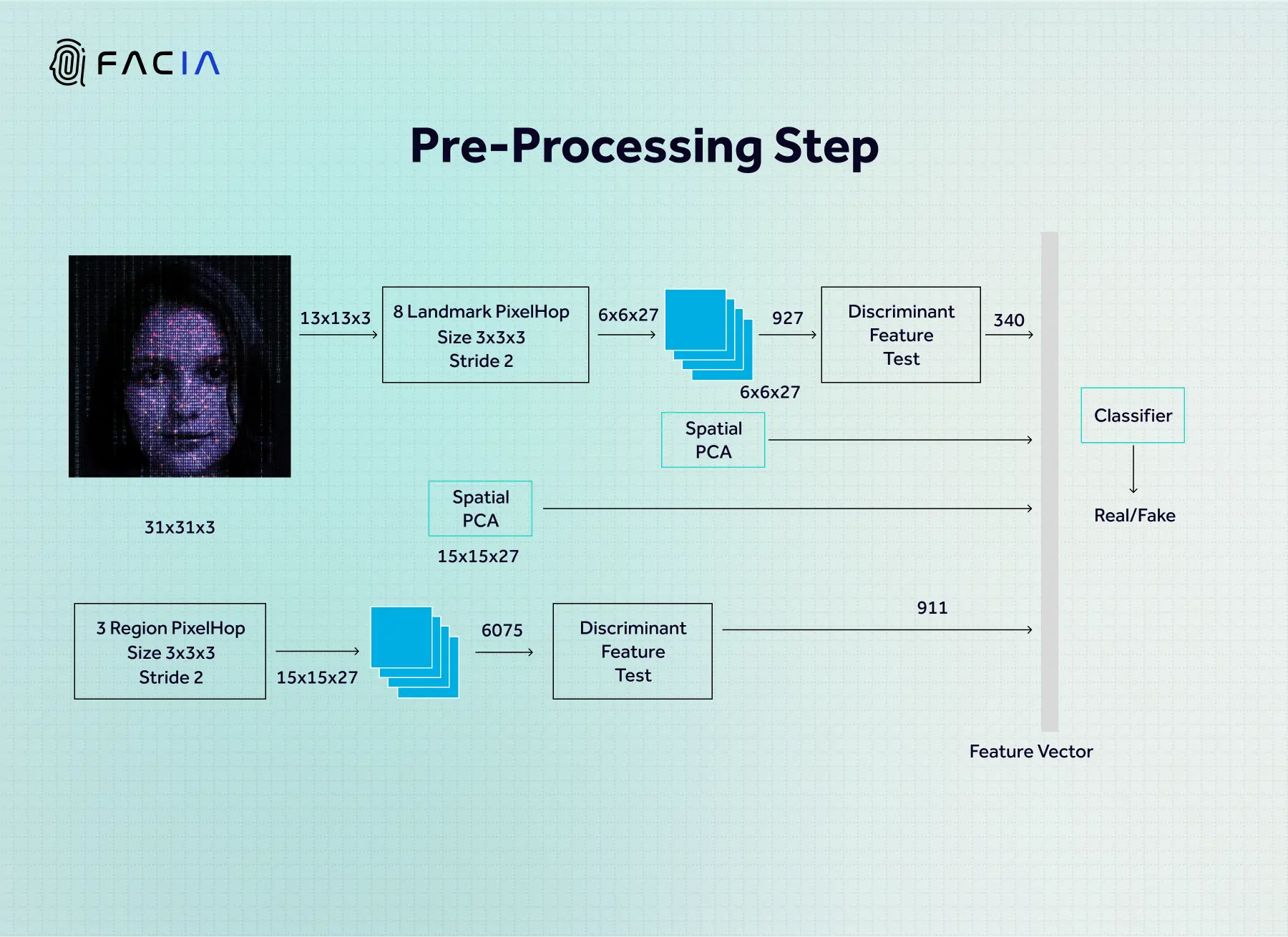 Pre-Processing Step