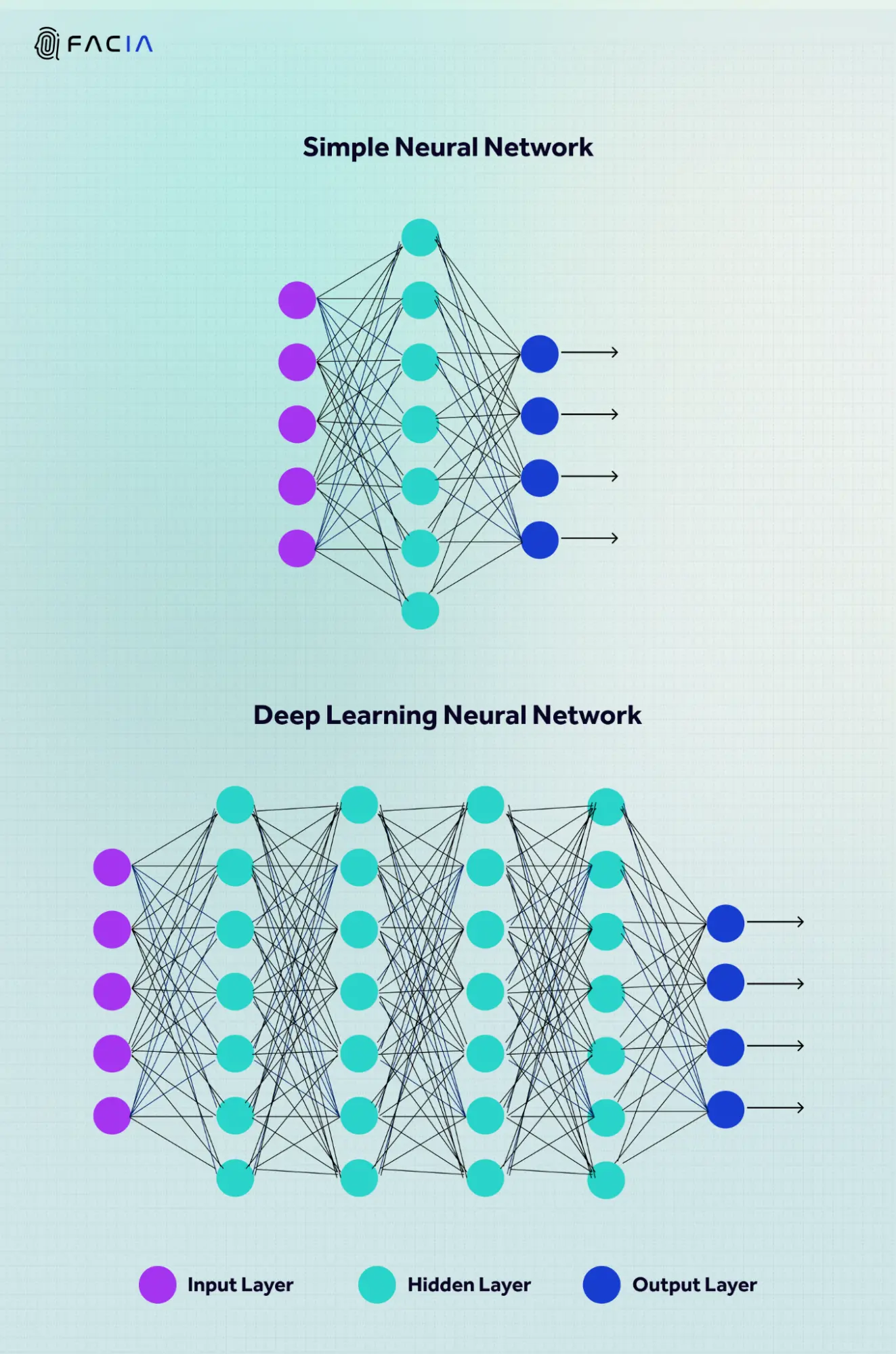 NEURO NETWORKS & DEEP LEARNING